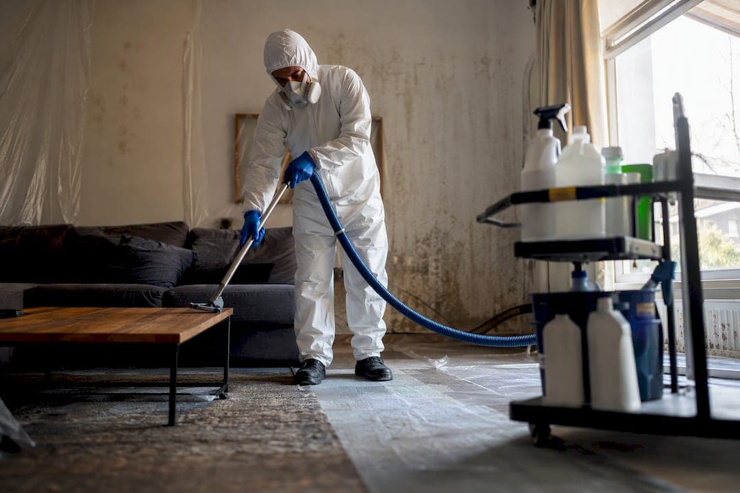 Schoonmaak na overlijden: wie bel je en wat mag je verwachten?