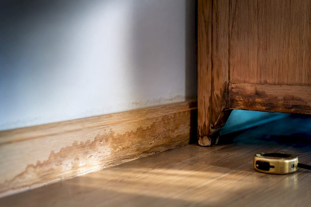 Waterschade schoonmaken: 6 stappen en verzekeringstips voor België